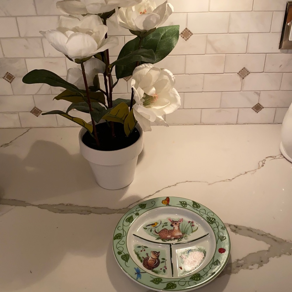 NWOT EASTER🐰 BABY 🐣CHILD PAINTED GLAZED PLATE